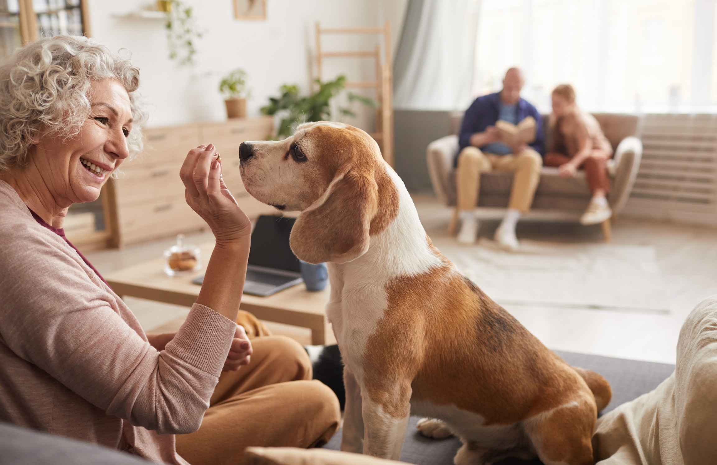 Caring for Your Senior Dog