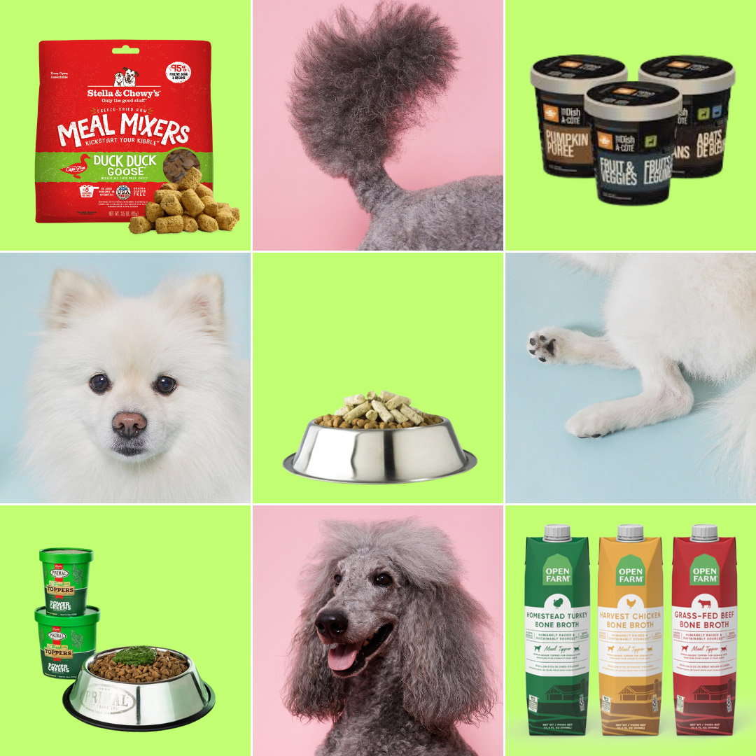 Boost Your Dogs Kibble Diet