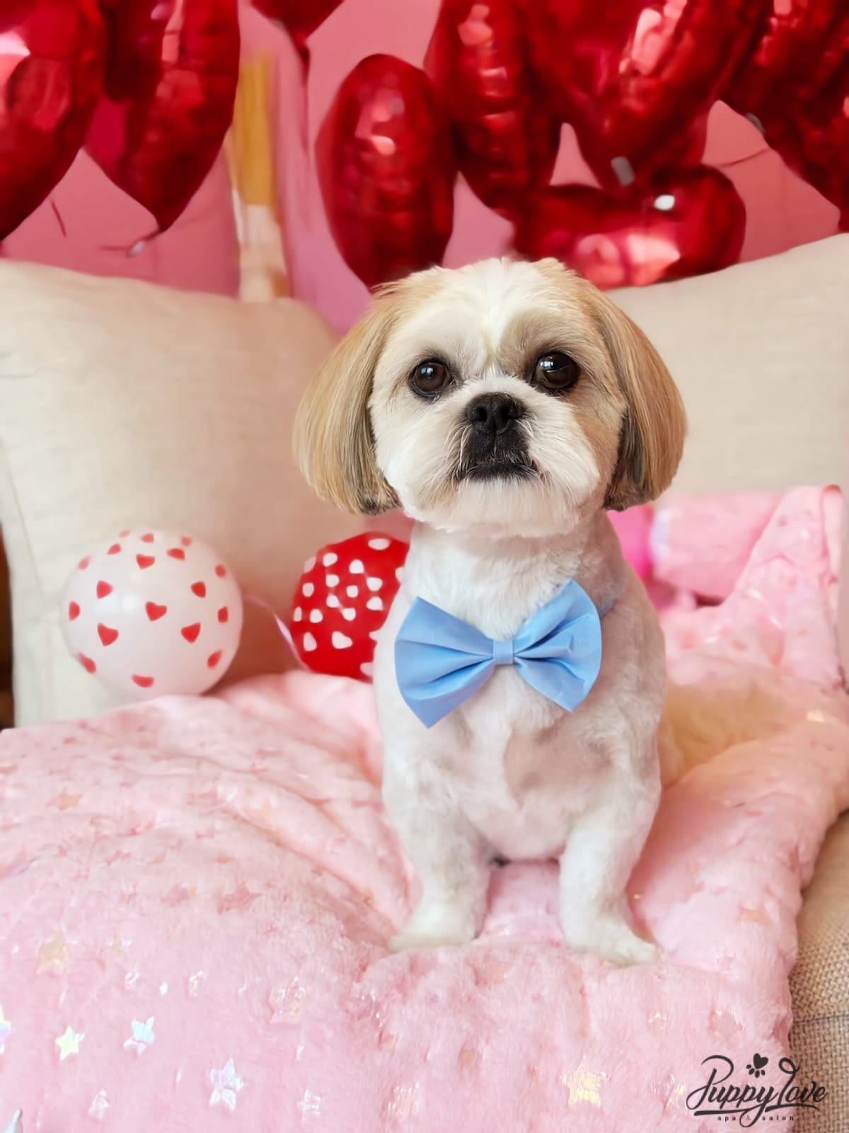 valentines-12
