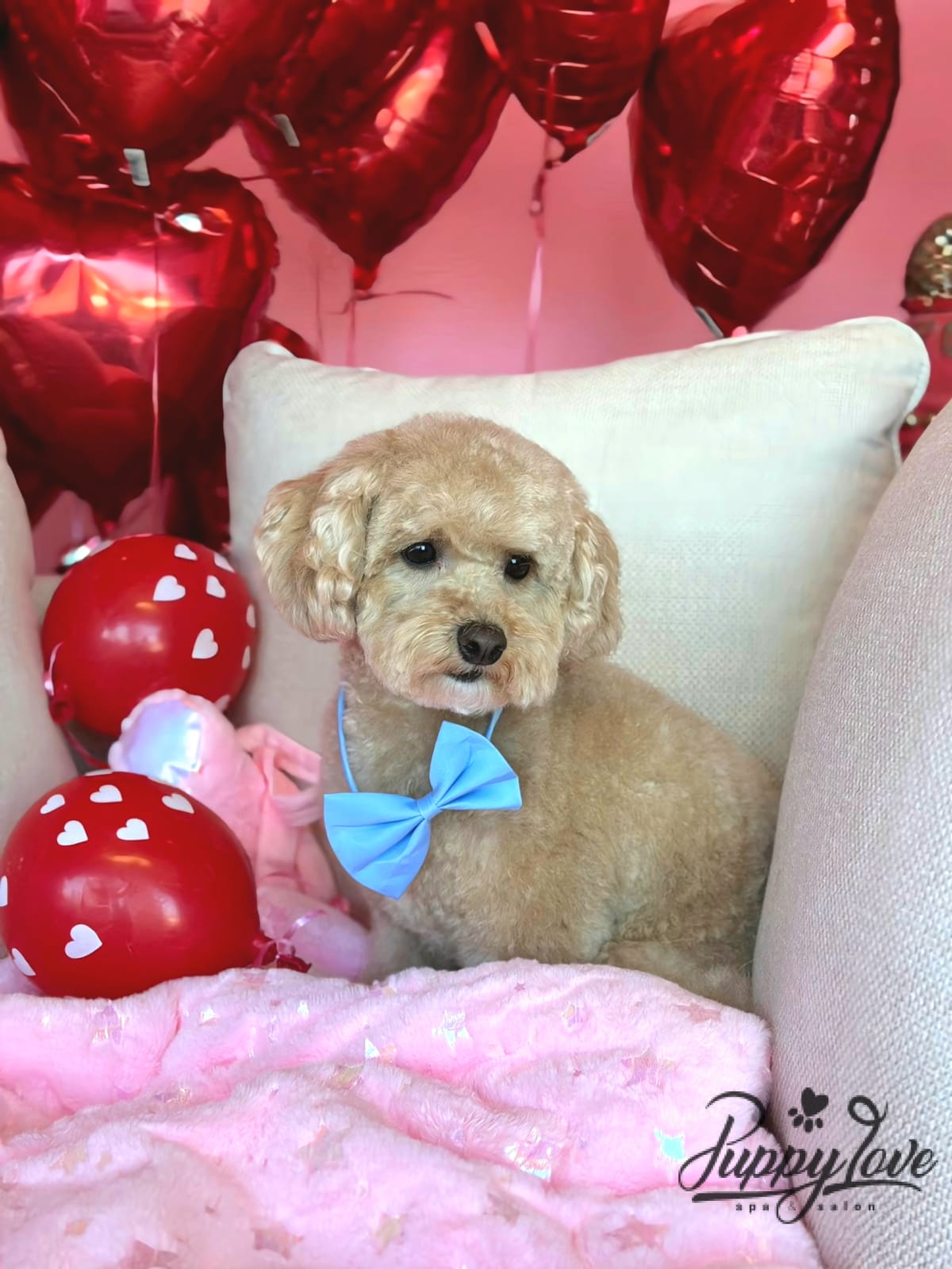 valentines-18