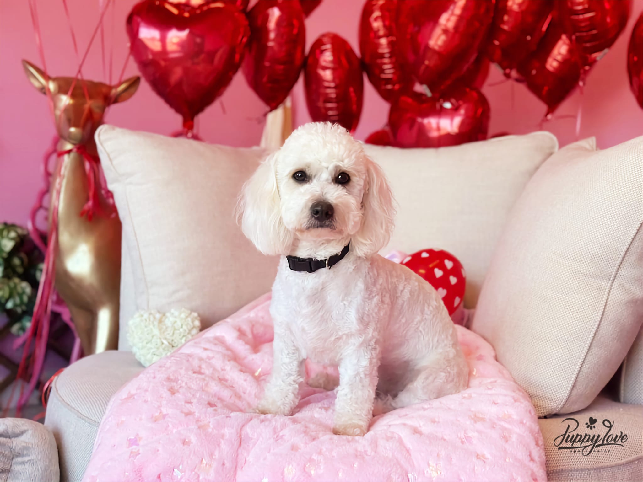 valentines-2
