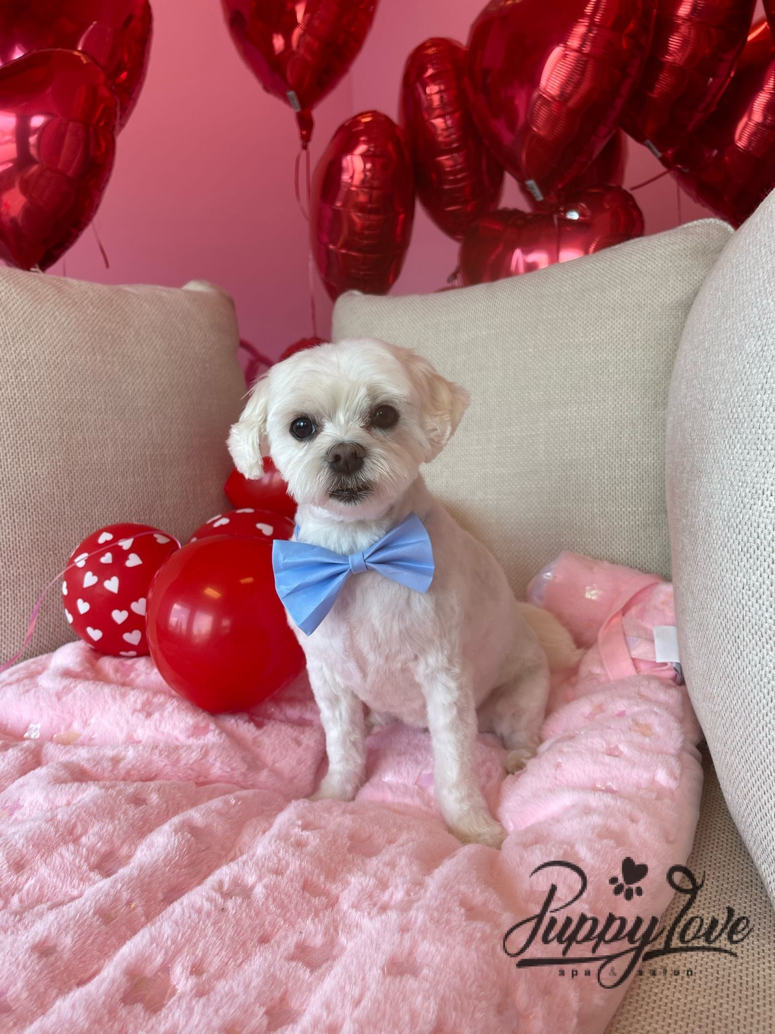 valentines-30