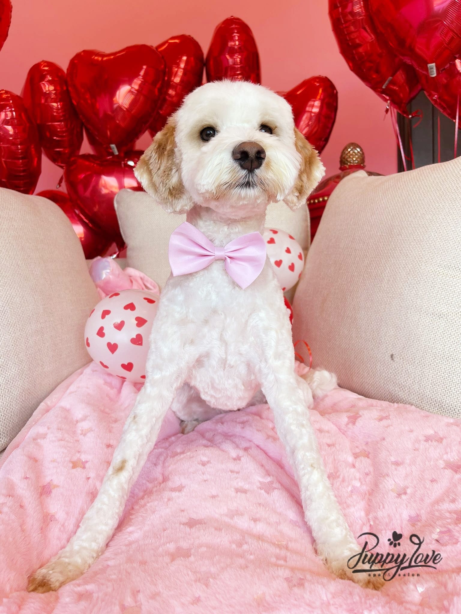 valentines-4