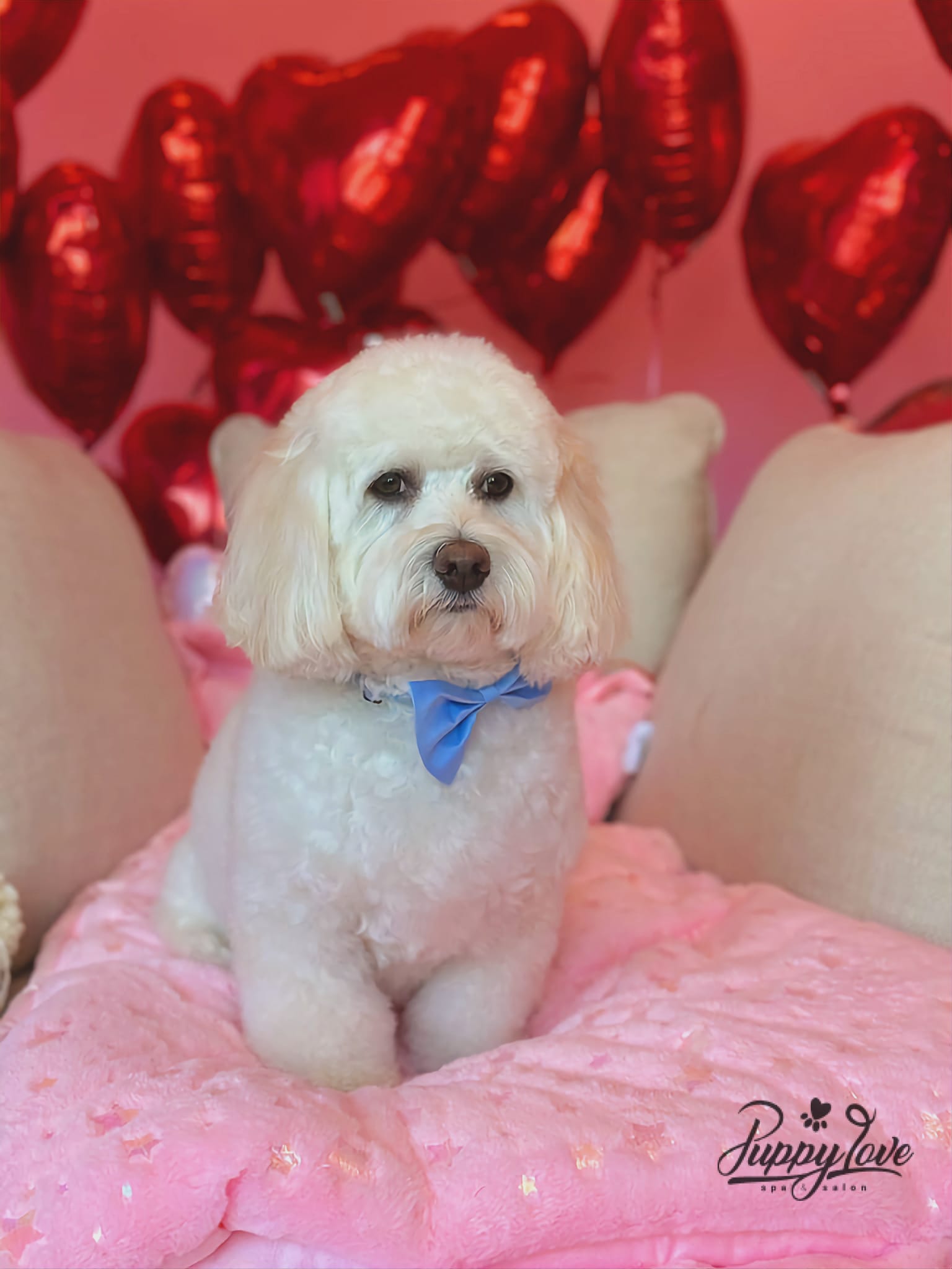 valentines-5