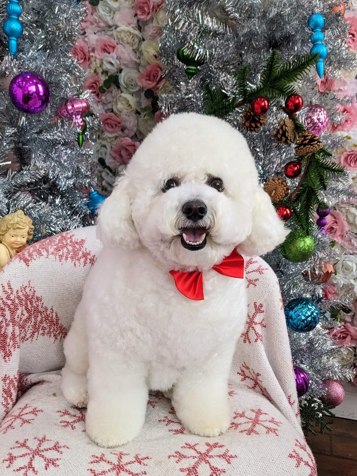 xmas-dog-18