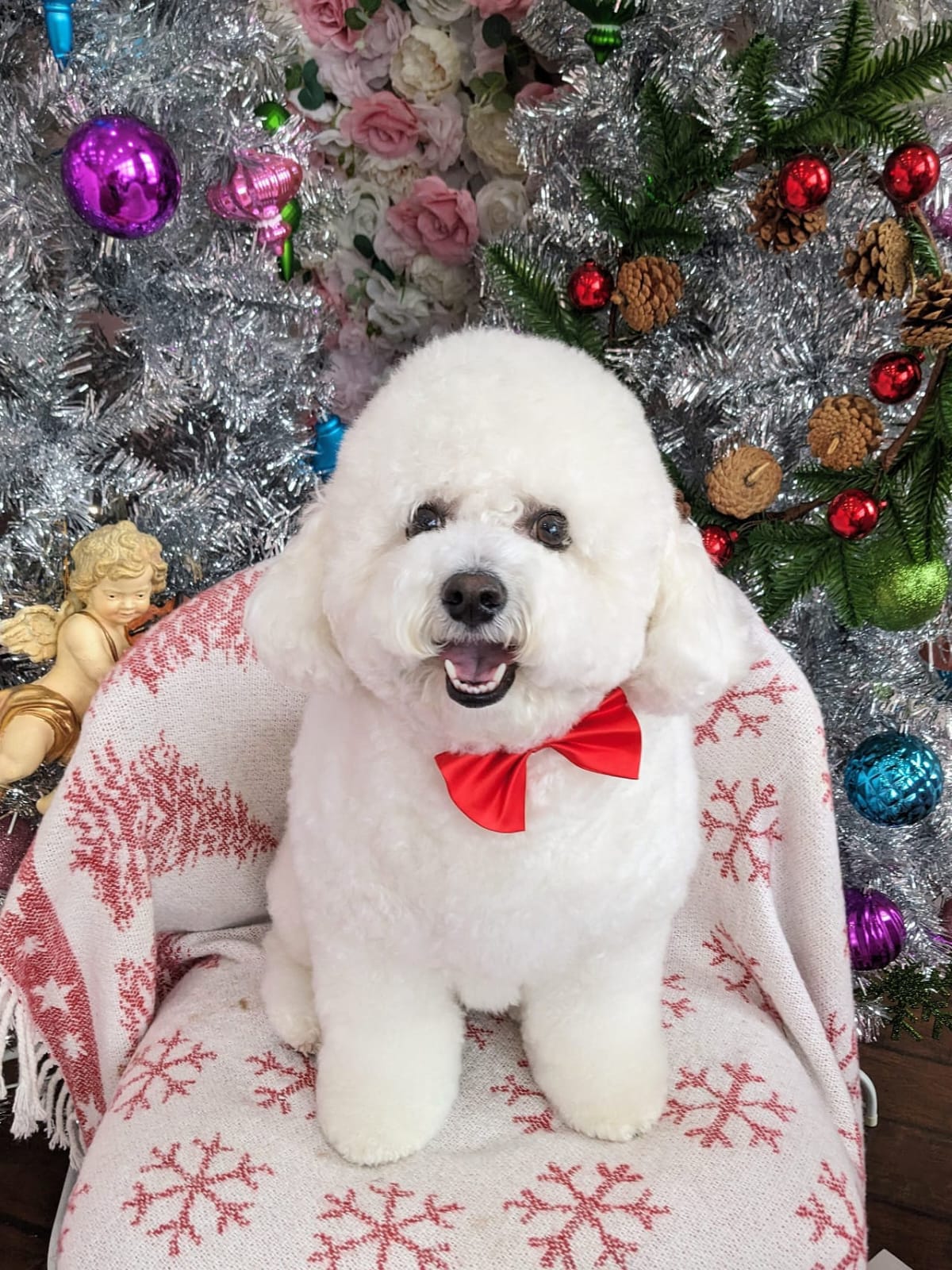 xmas-dog-19