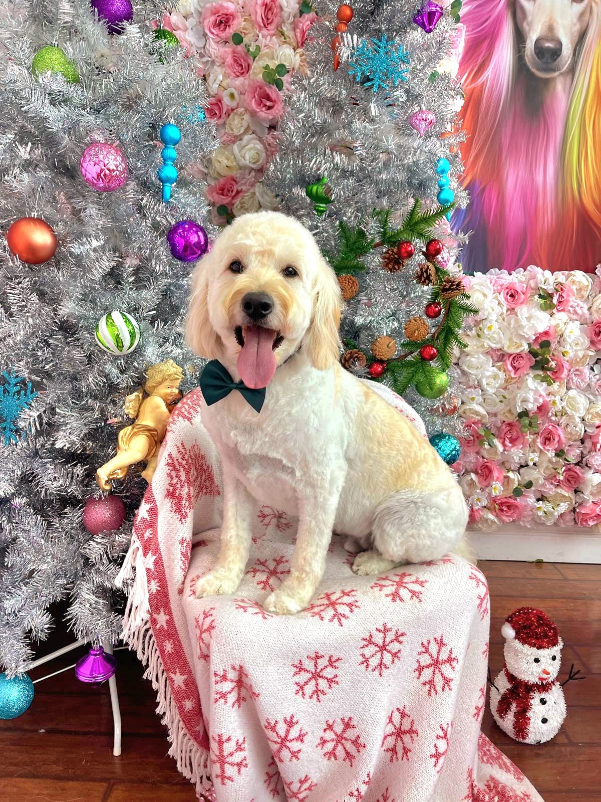 xmas-dog-36