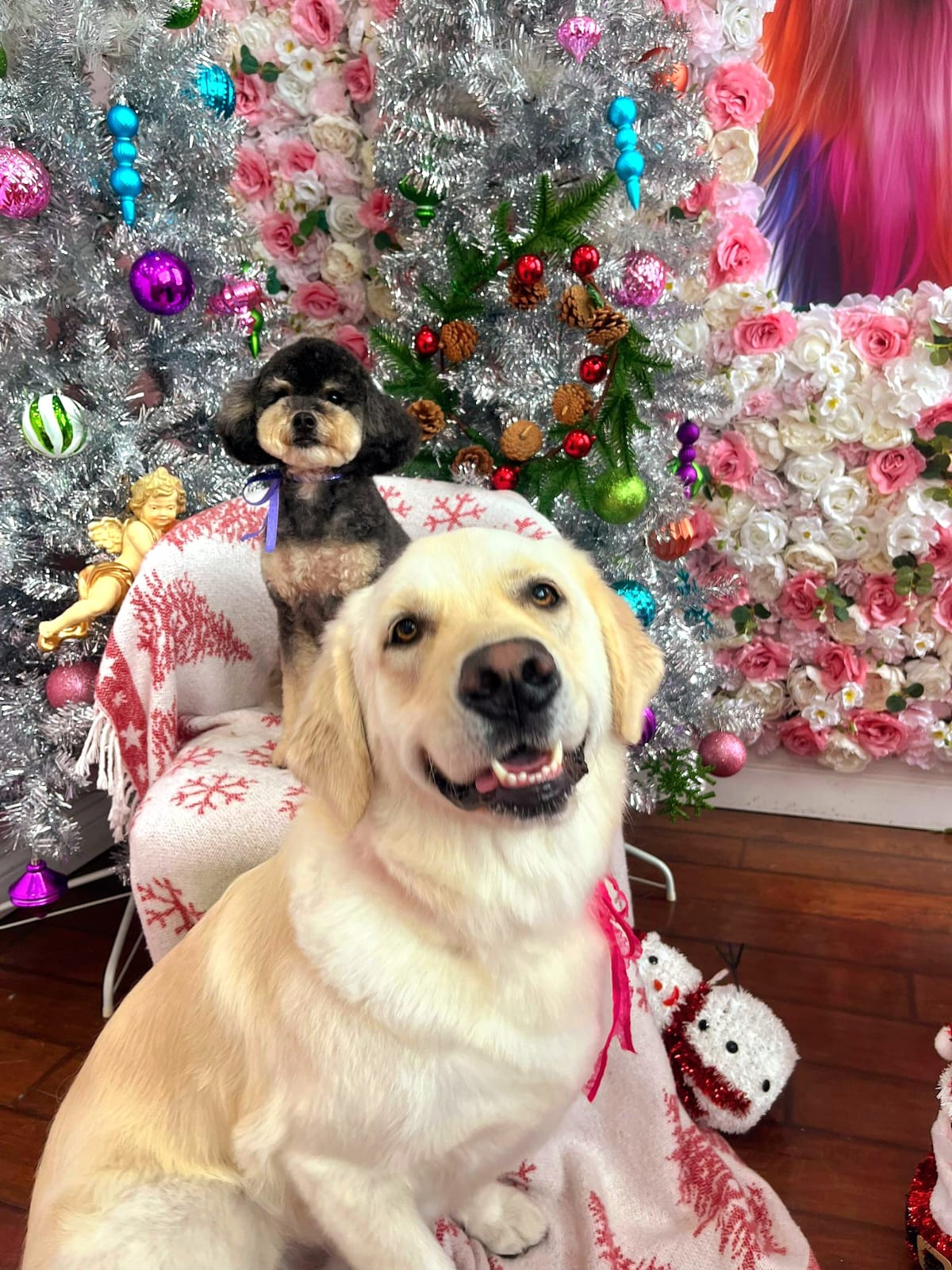 xmas-dog-40