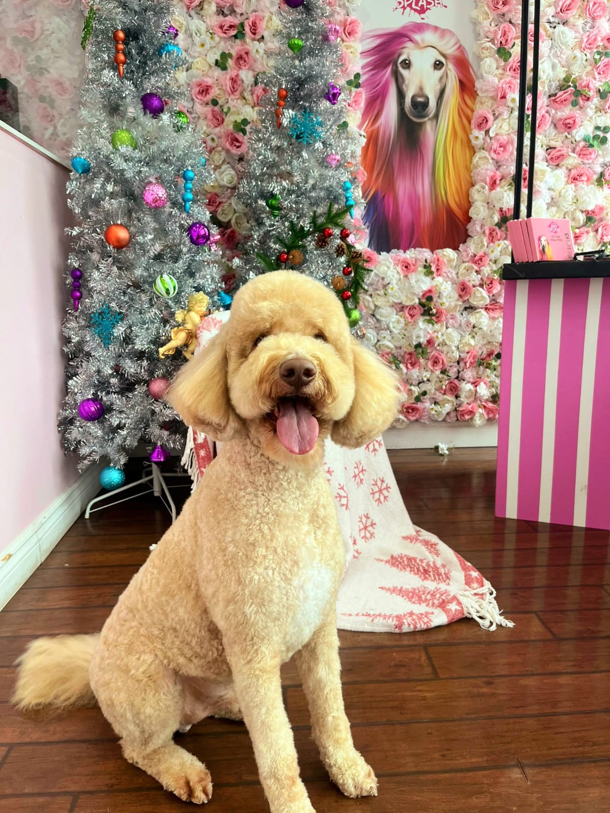 xmas-dog-42