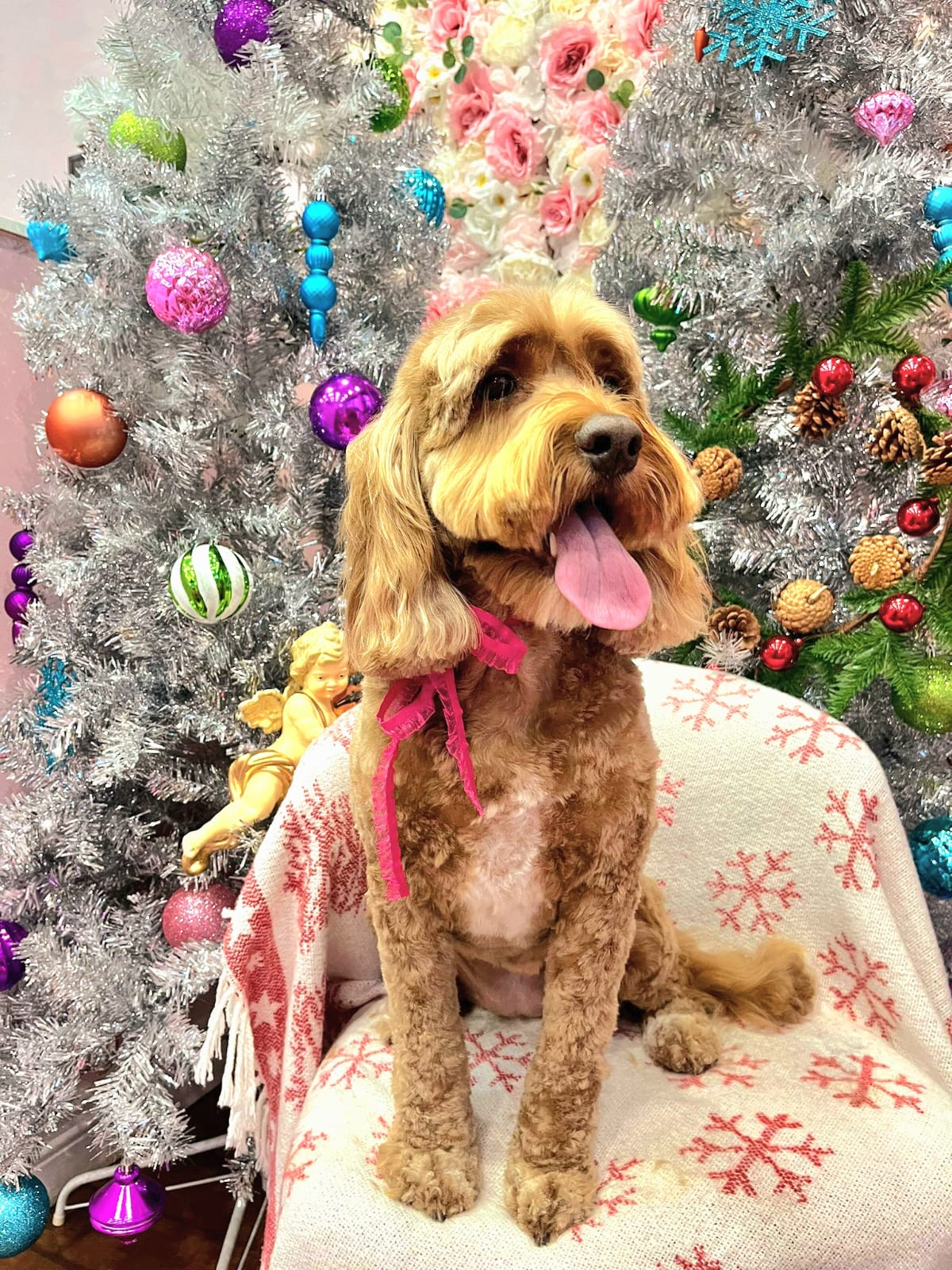 xmas-dog-48
