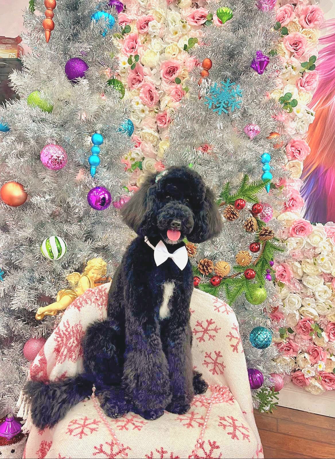 xmas-dog-53