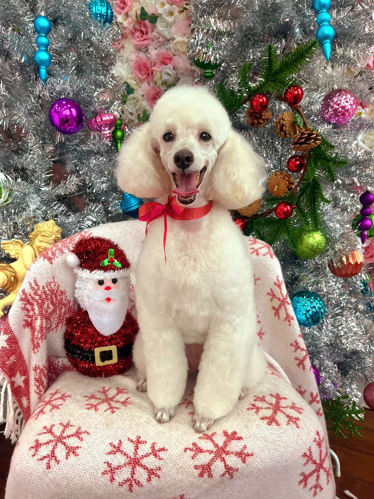 xmas dog