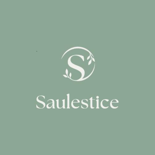 Image for Centre Saulestice Inc.