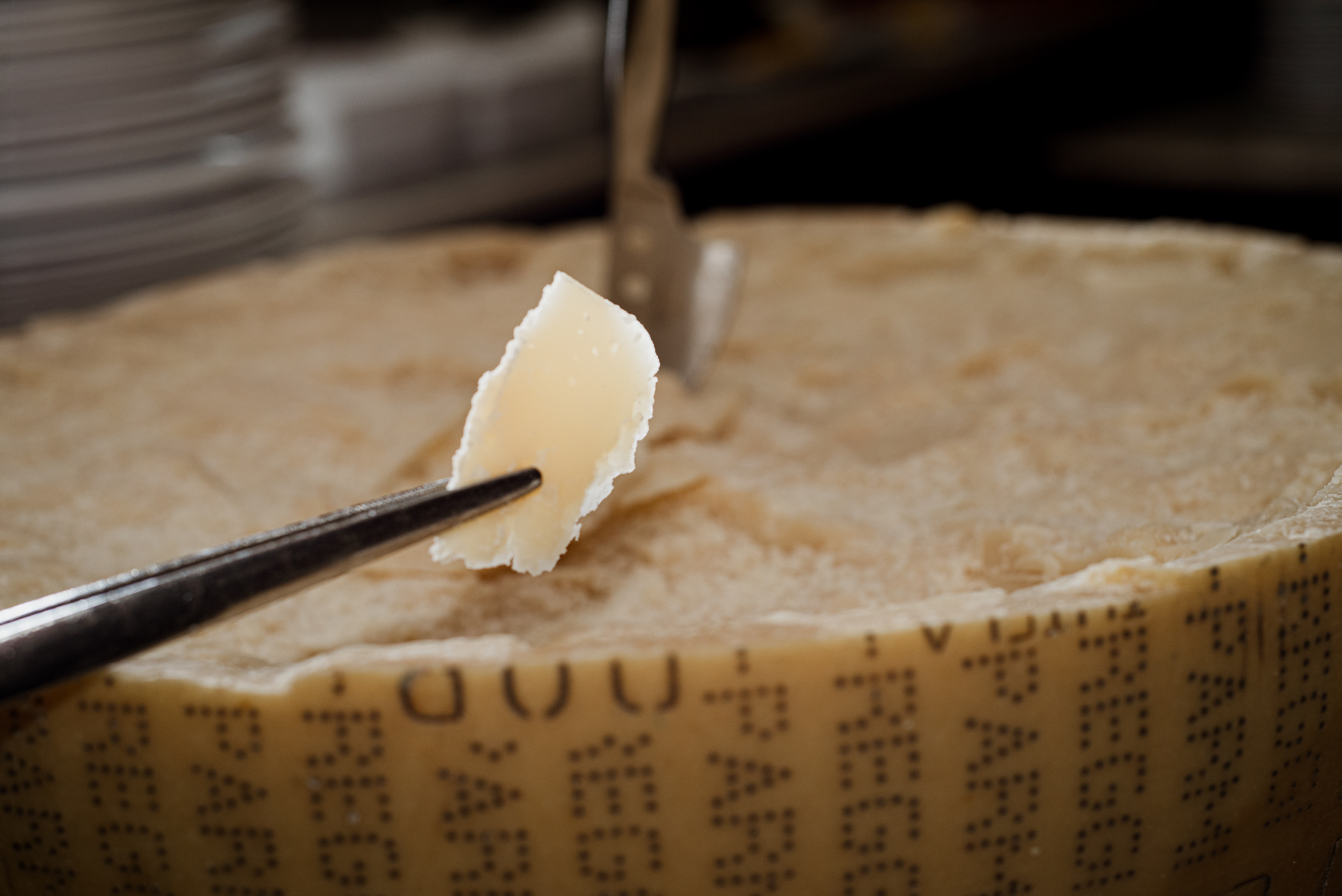 Fresh Cheese