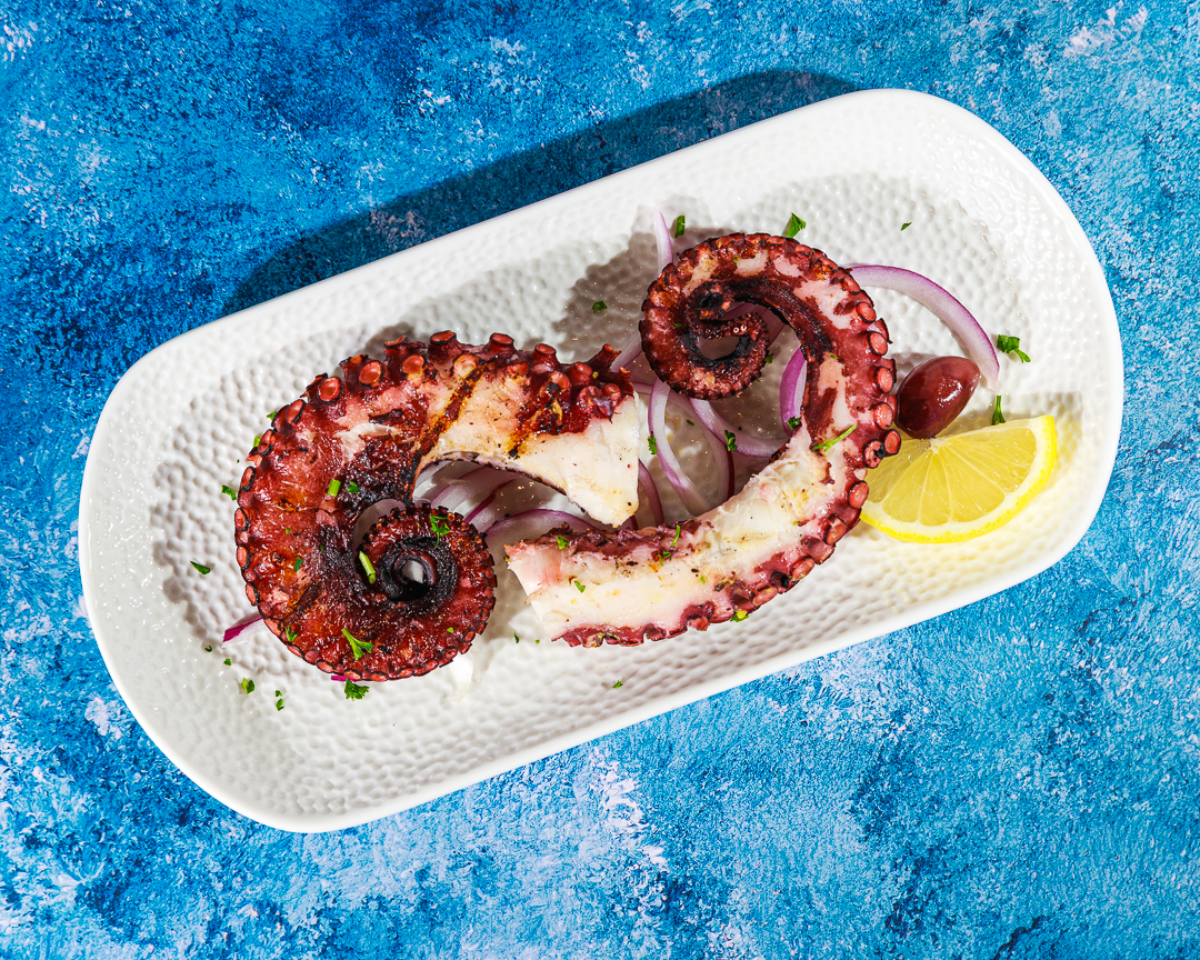 Octopus