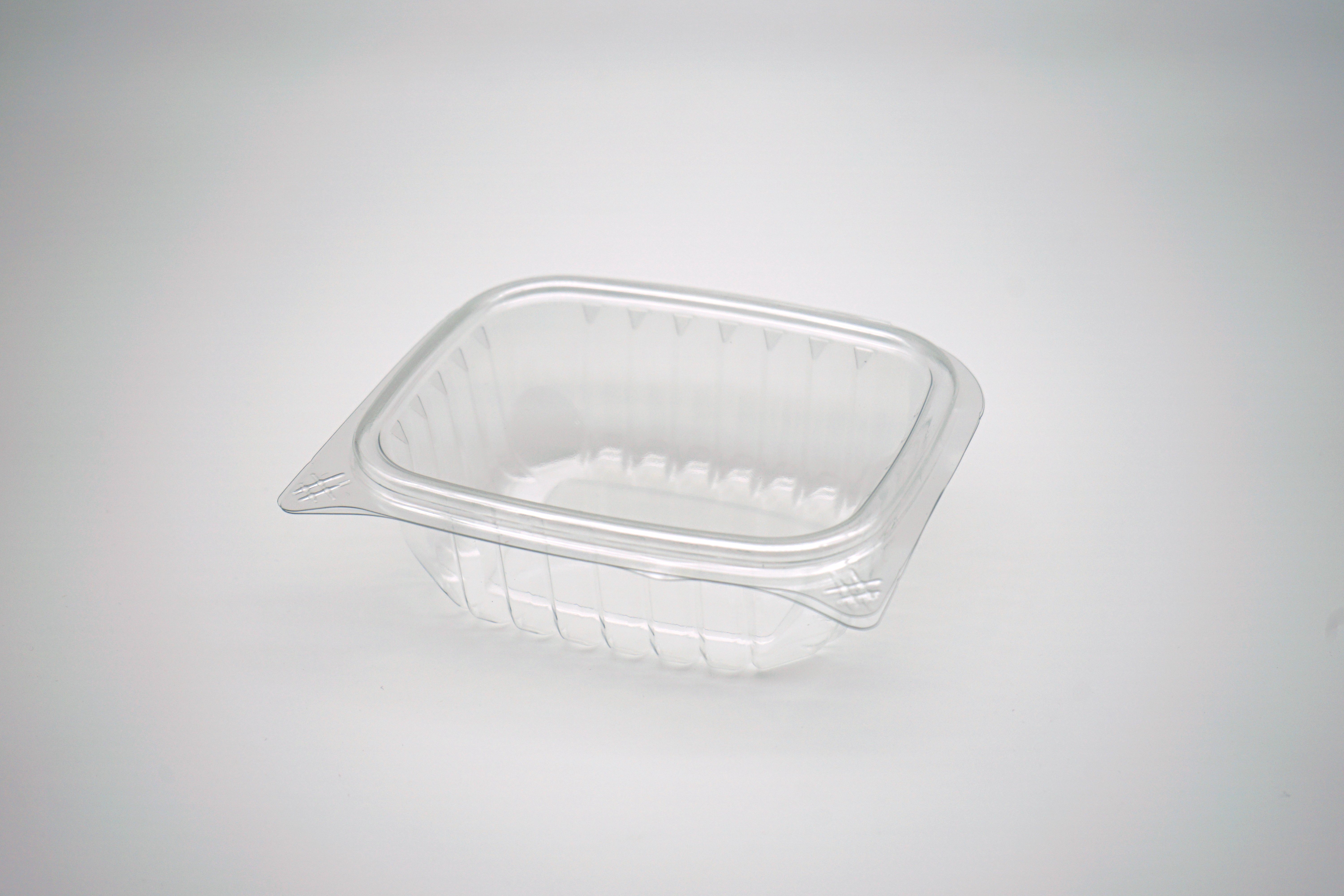 Clear Hinged Container Image