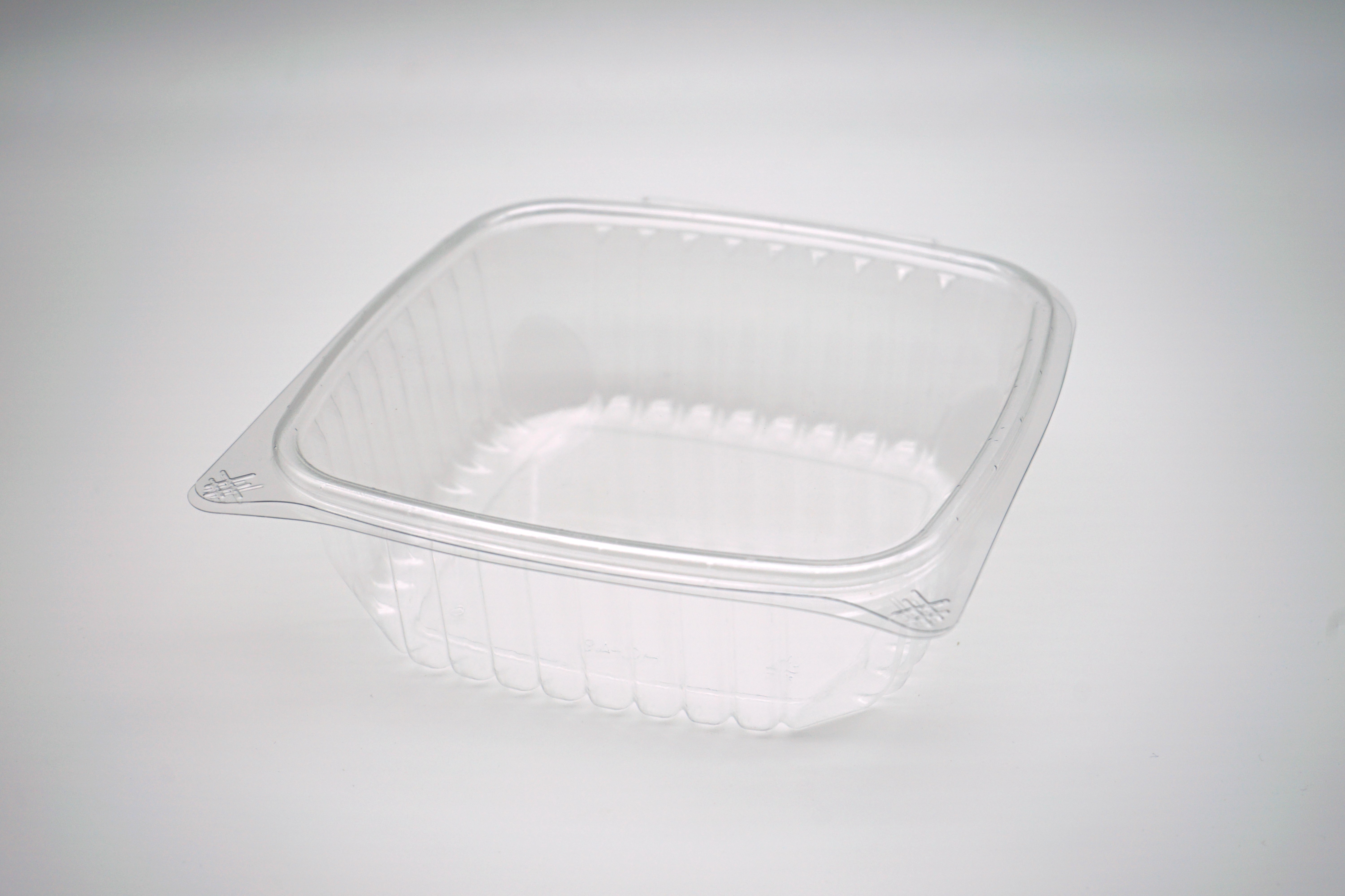 Clear Hinged Container Image