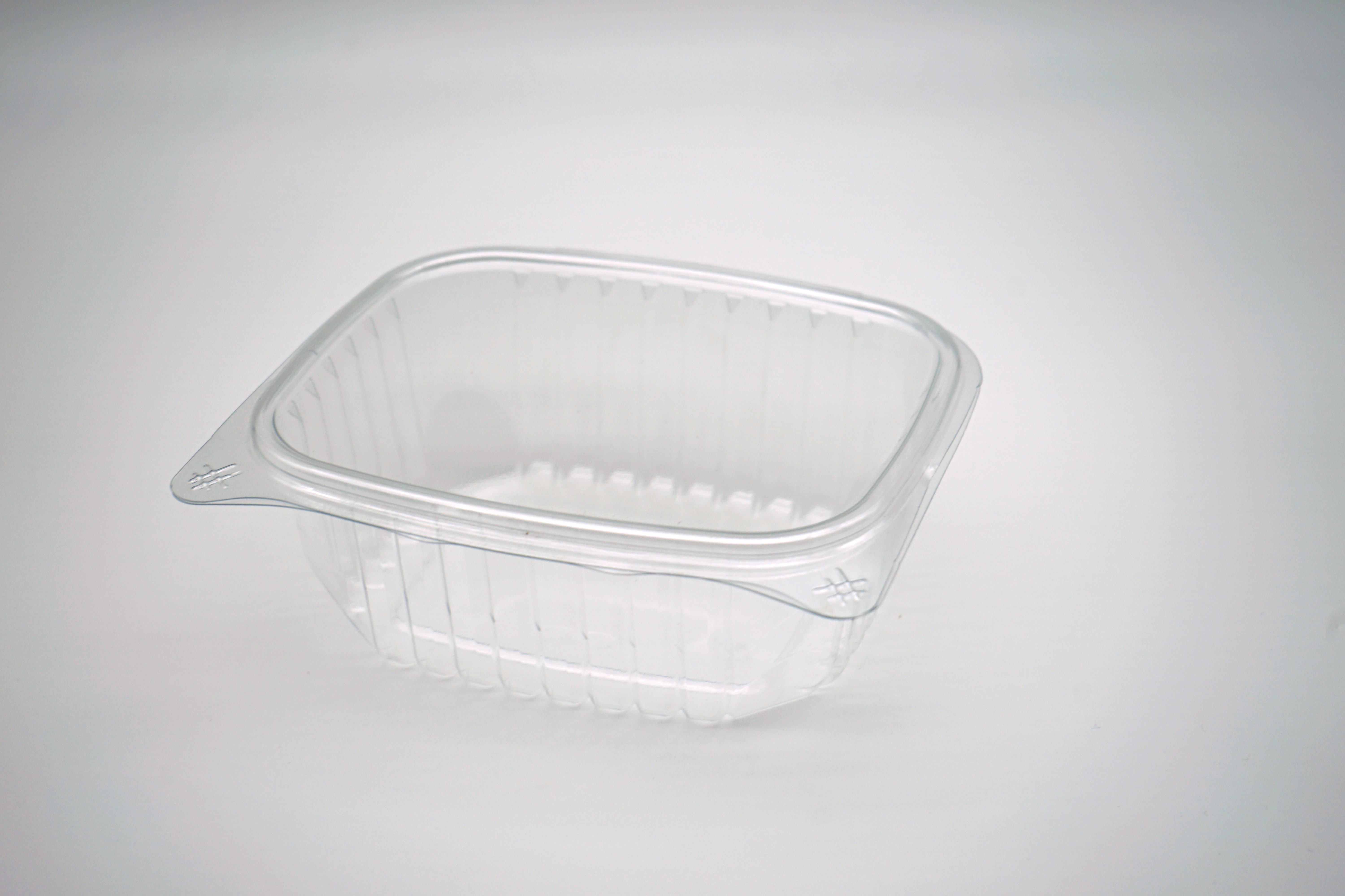 Clear Hinged Container Image