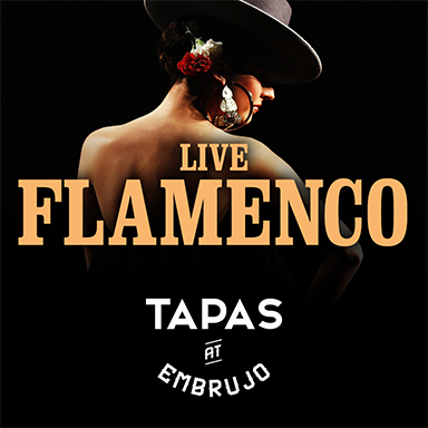 Flamenco Shows