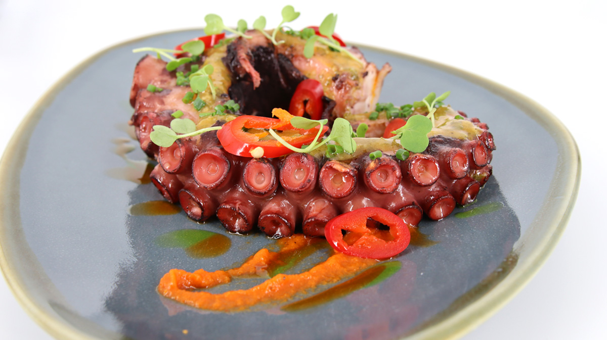 Octopus