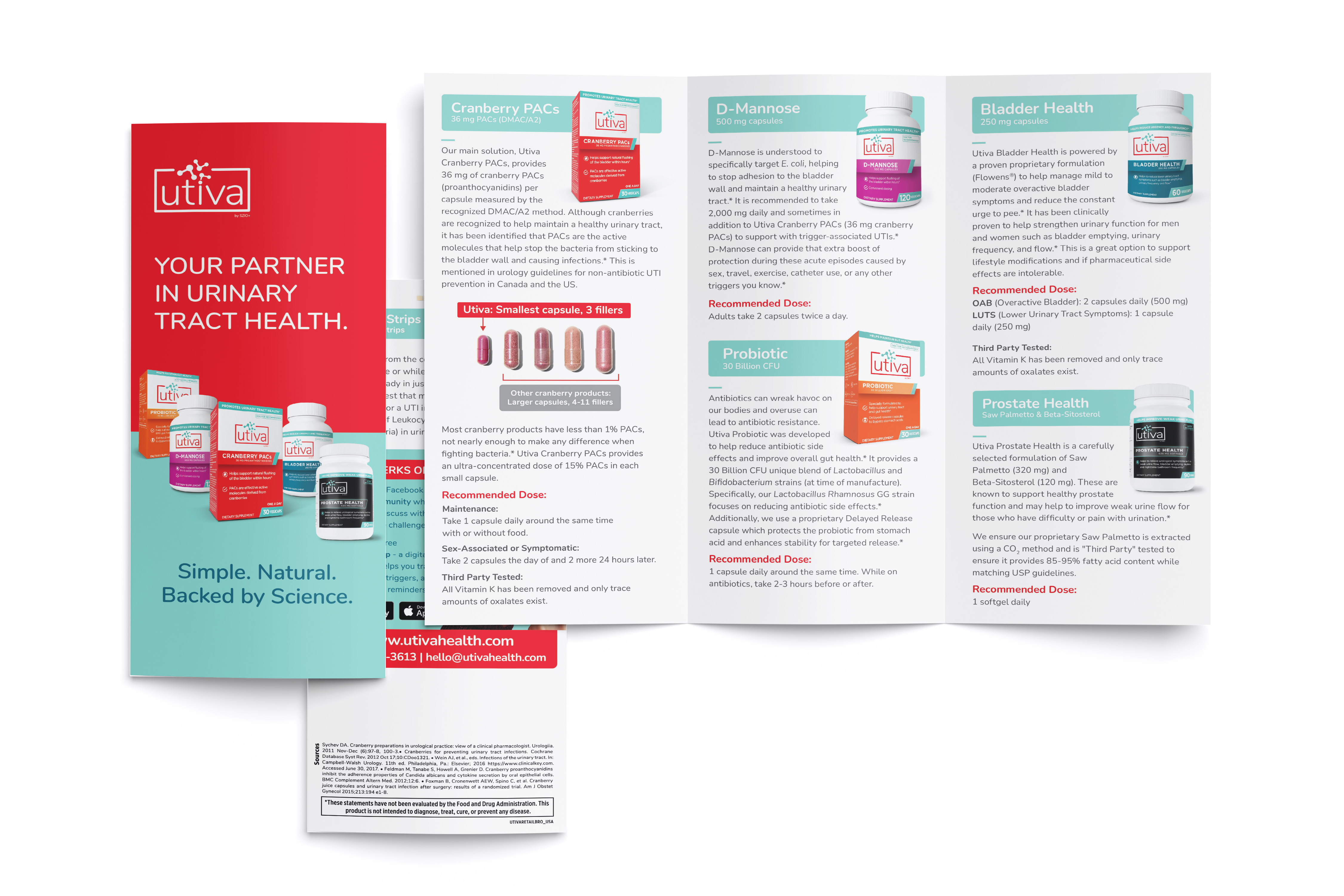 Trade Show Brochure