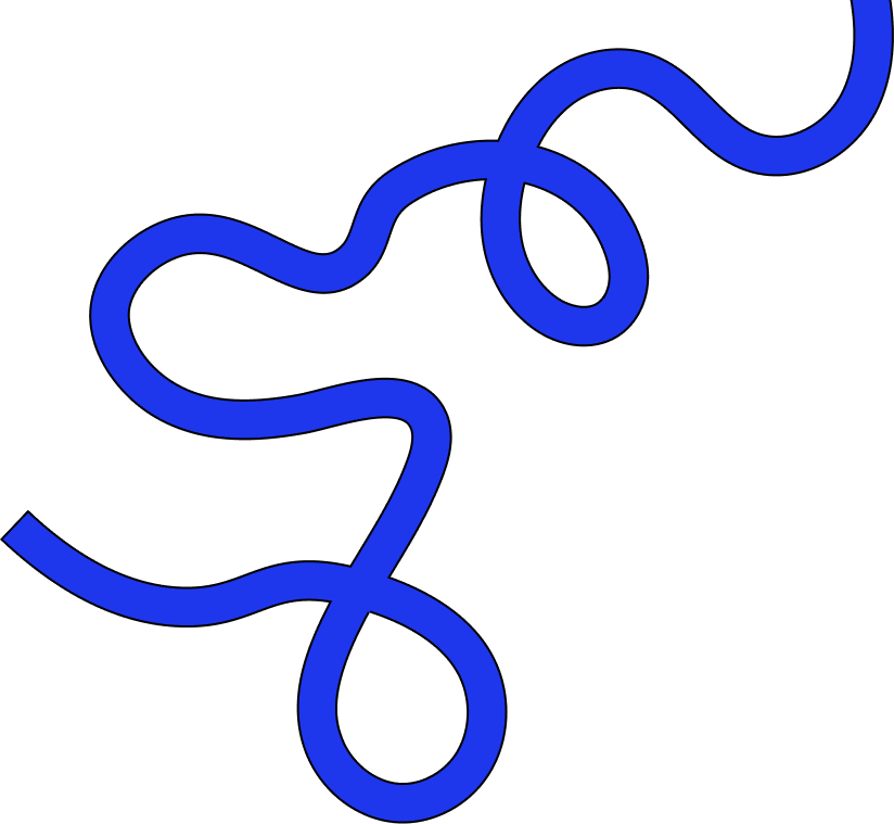 Leading Doodle