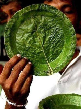 Green Plate