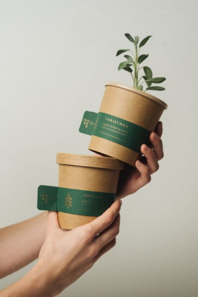 Plants